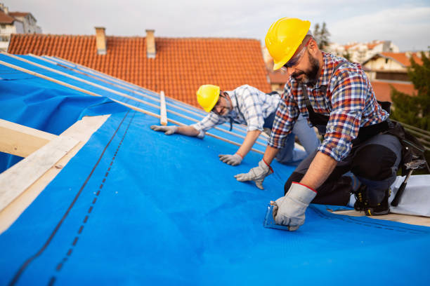 Best Metal Roofing Installation  in Redlands, CO